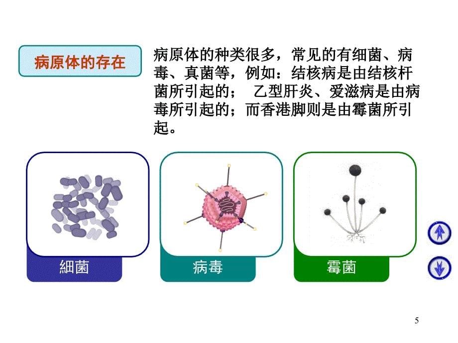 小学生传染病防治知识ppt课件.ppt_第5页