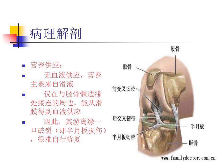 膝关节半月板损伤MR_第2页