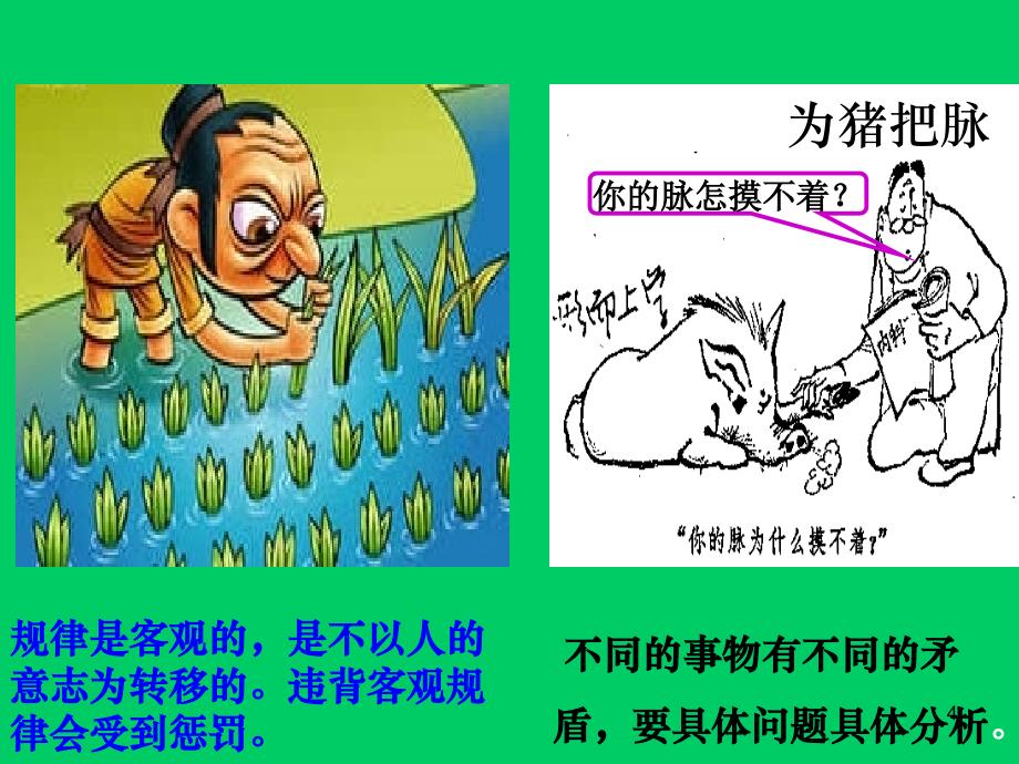 哲学生活处处有哲学上课用ppt课件.ppt_第3页