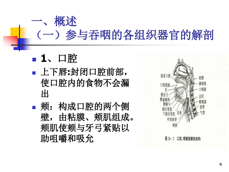 吞咽功能障碍的评定ppt课件.ppt_第4页