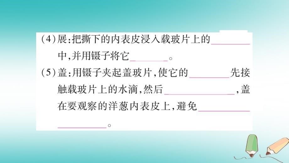 2019秋七年级生物上册 第2单元 第1章 第2节 植物细胞习题课件 （新版）新人教版_第5页