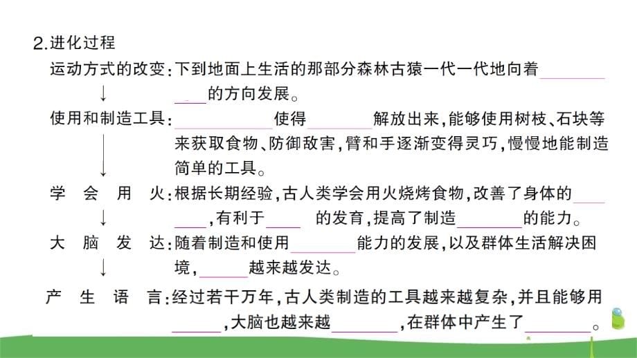 人教版七年级下册生物全册章节课课练含答案_第5页