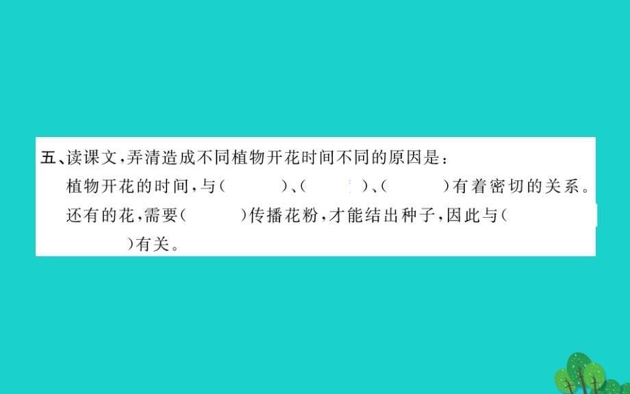 三年级语文下册第四单元13花钟作业课件新人教版20200221229_第5页