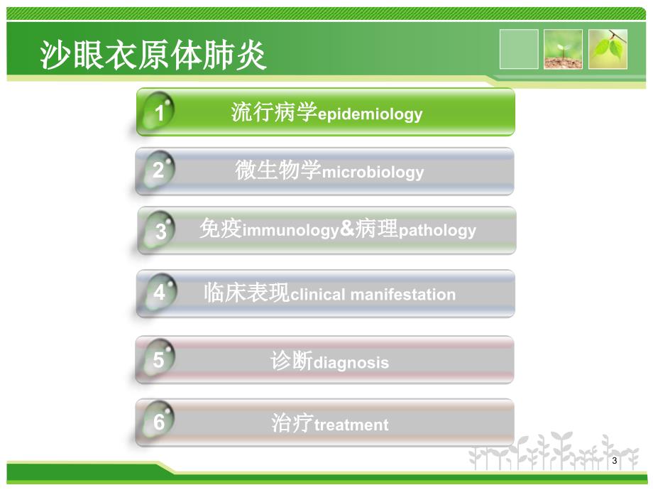 婴儿沙眼衣原体肺炎ppt课件.ppt_第3页