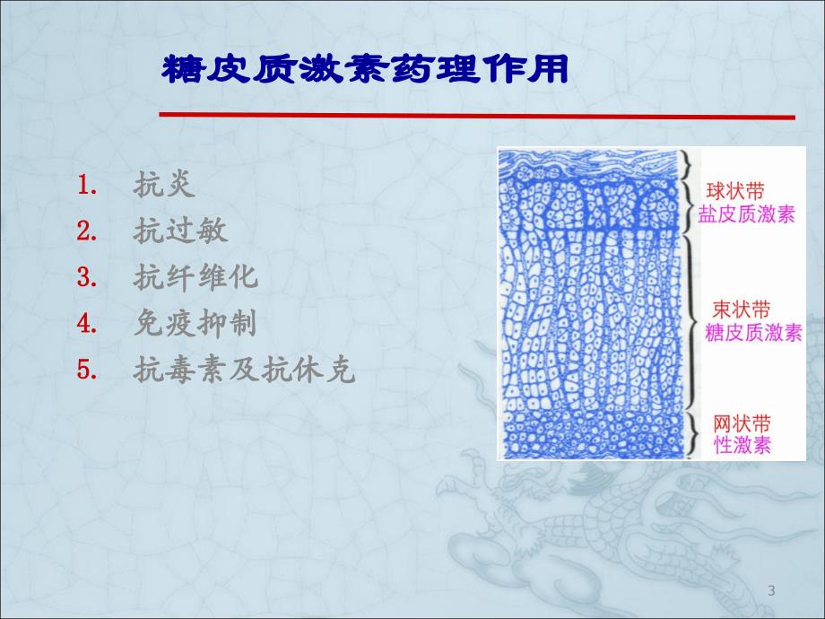 医学文库网糖皮质激素在呼吸系统疾病中的合理应用ppt课件.ppt_第3页