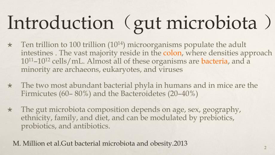 益生菌与肥胖ppt课件.pptx_第2页