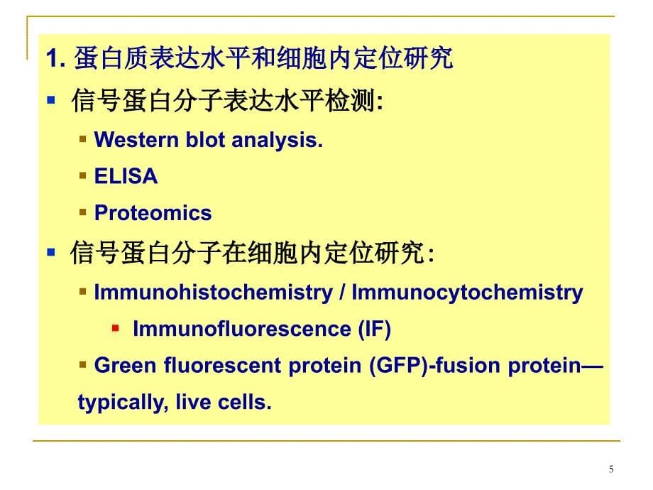 信号转导研究方法ppt课件.ppt_第5页