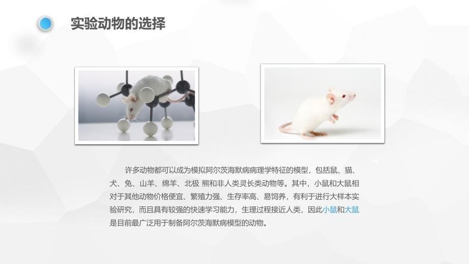 阿尔茨海默症动物模型ppt课件.ppt_第5页