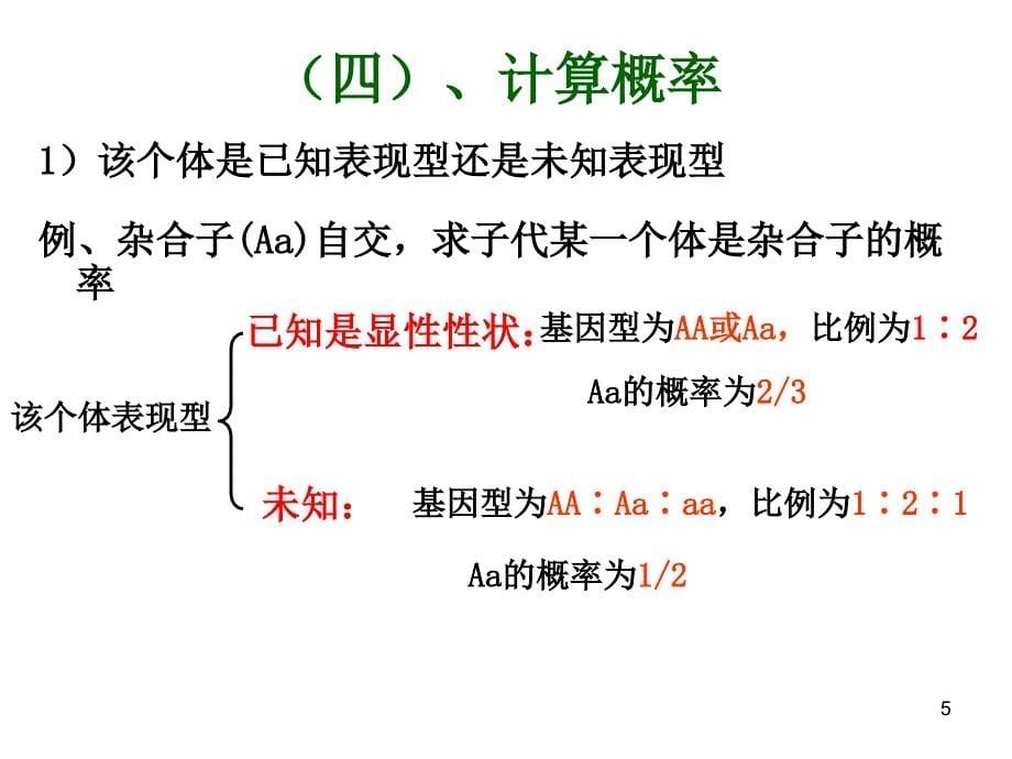 新课标高中生物遗传解题技巧ppt课件.ppt_第5页