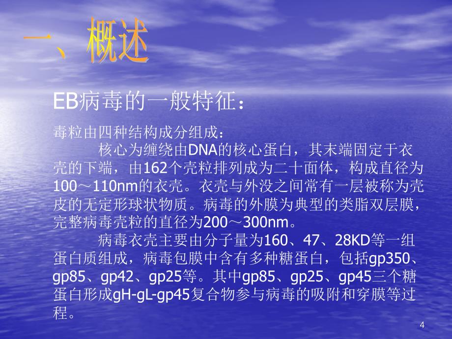 EB病毒及其相关疾病研究进展ppt课件.ppt_第4页