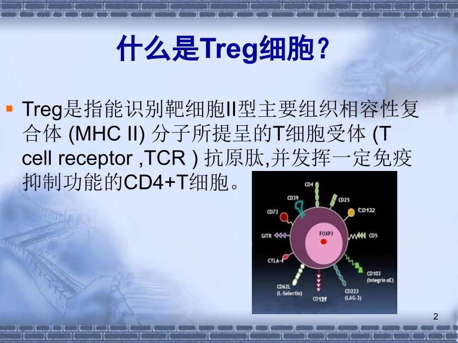 调节性T细胞与肿瘤ppt课件.ppt_第2页