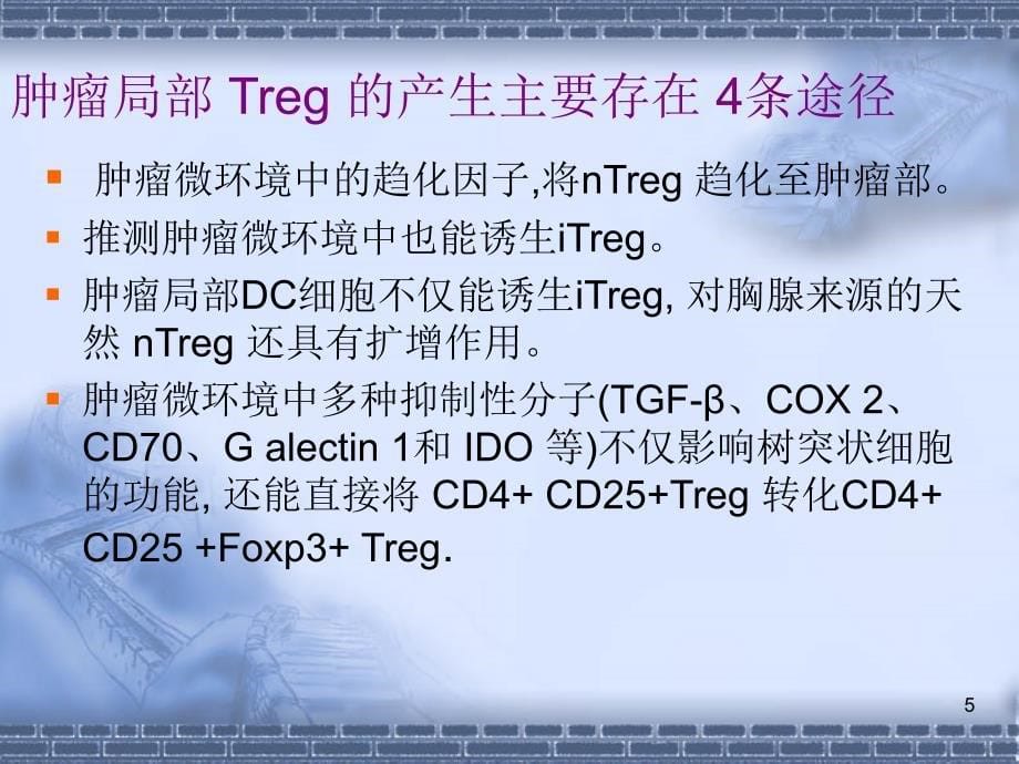 调节性T细胞与肿瘤ppt课件.ppt_第5页