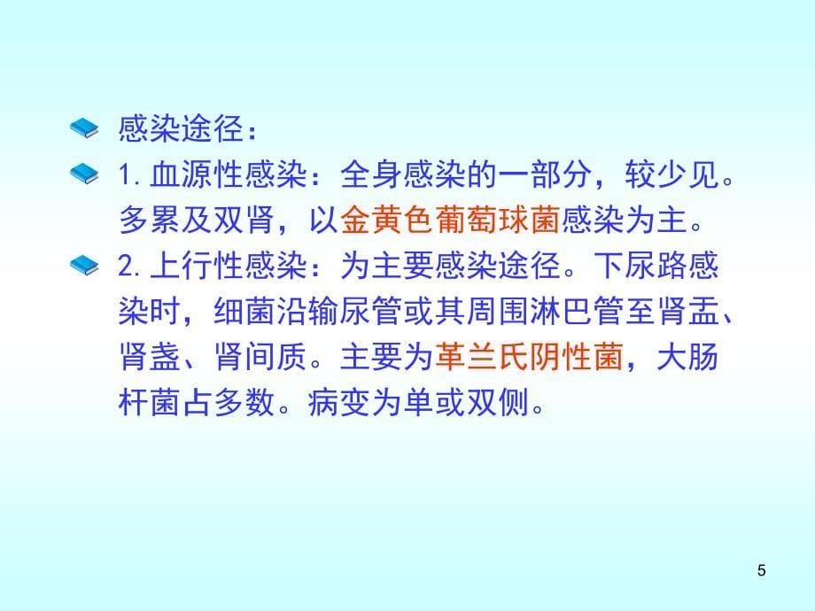 肾盂肾炎肿瘤ppt课件.ppt_第5页