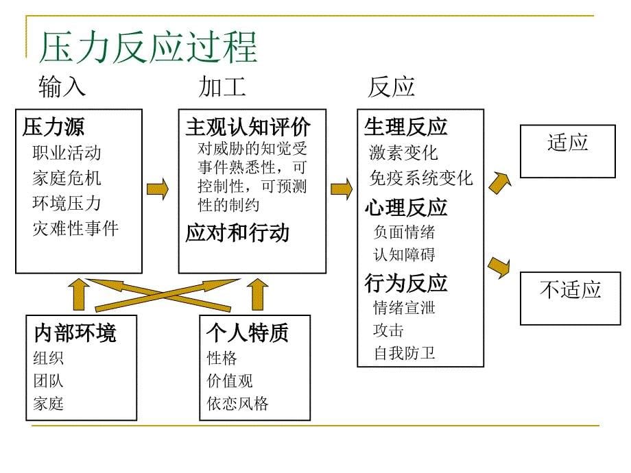 【精编】外派人员心理健康和调适培训课件_第5页