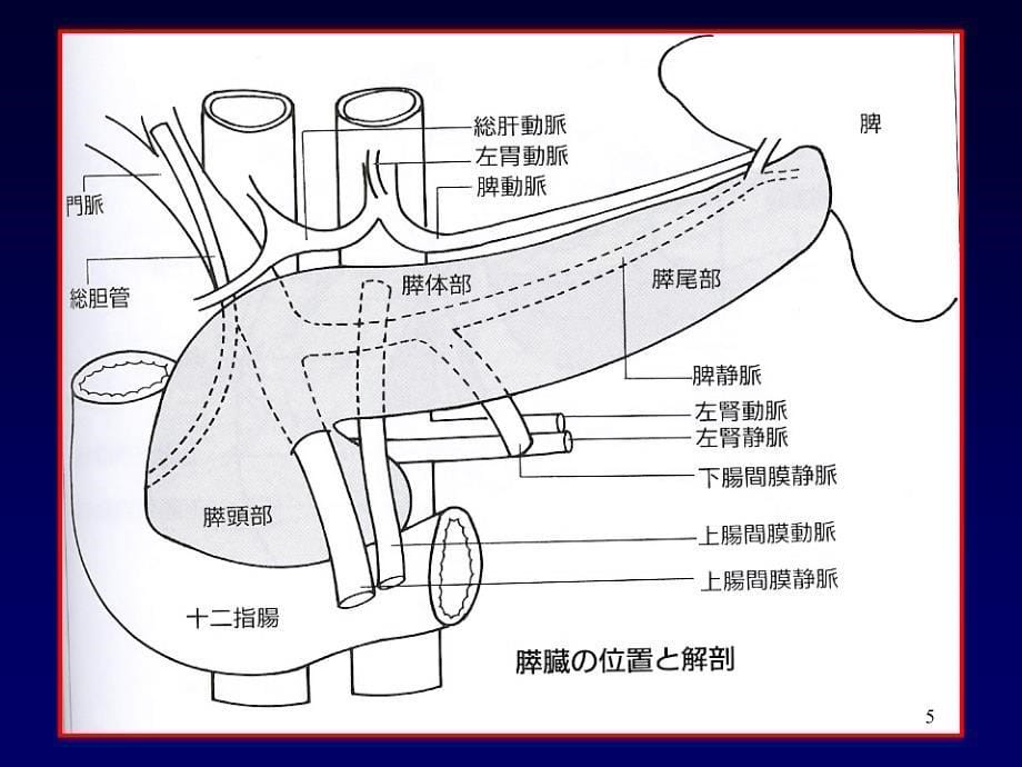 胰腺超声ppt课件.ppt_第5页