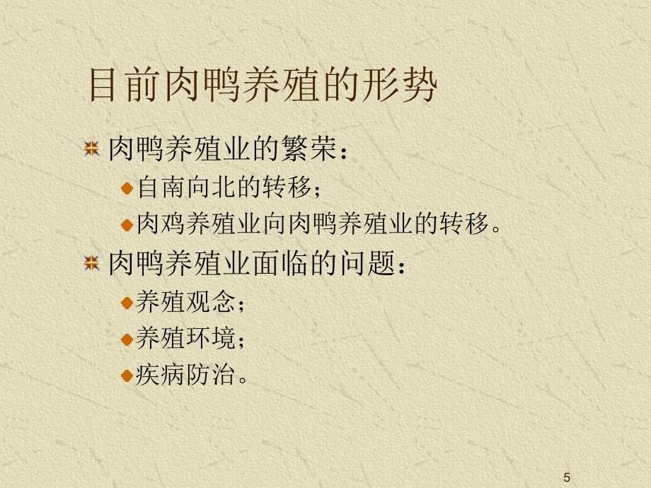 樱桃谷鸭的饲养管理ppt课件.ppt_第5页