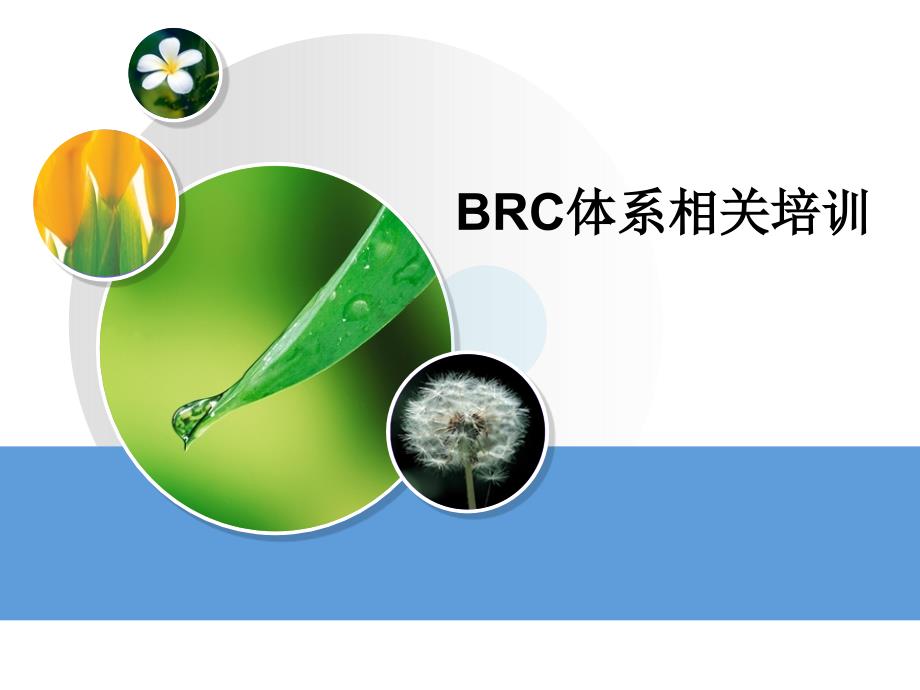 【精编】BRC体系相关培训教材_第1页