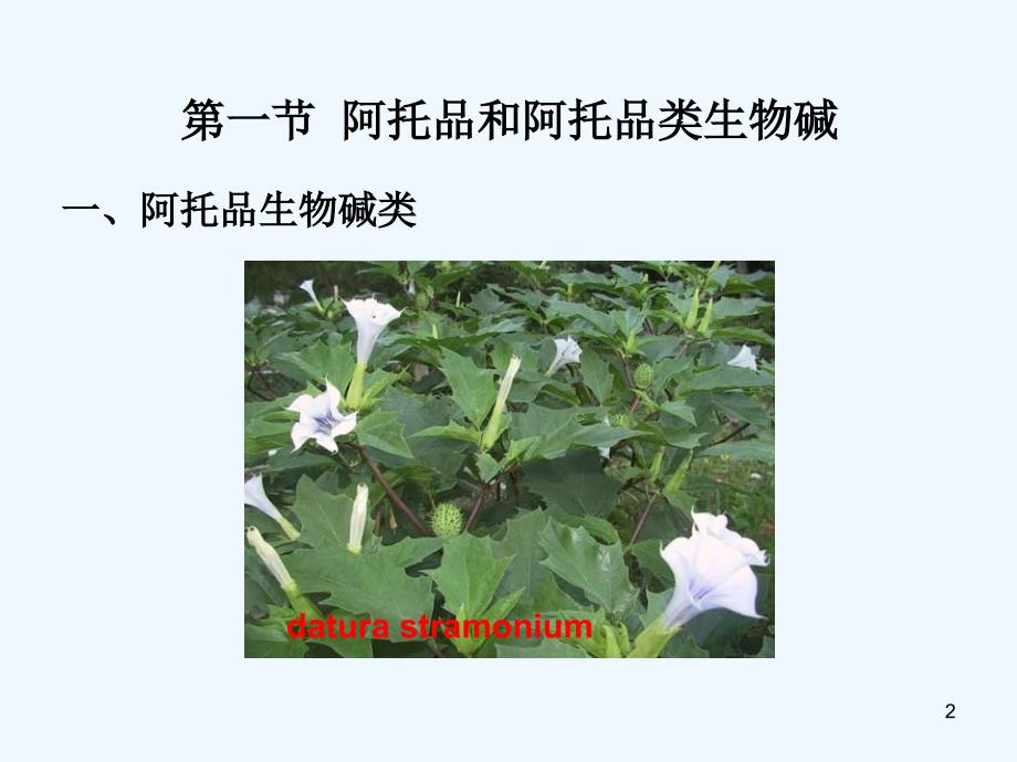 第八章胆碱受体阻断医药(I)M胆碱受体阻断医药_第2页