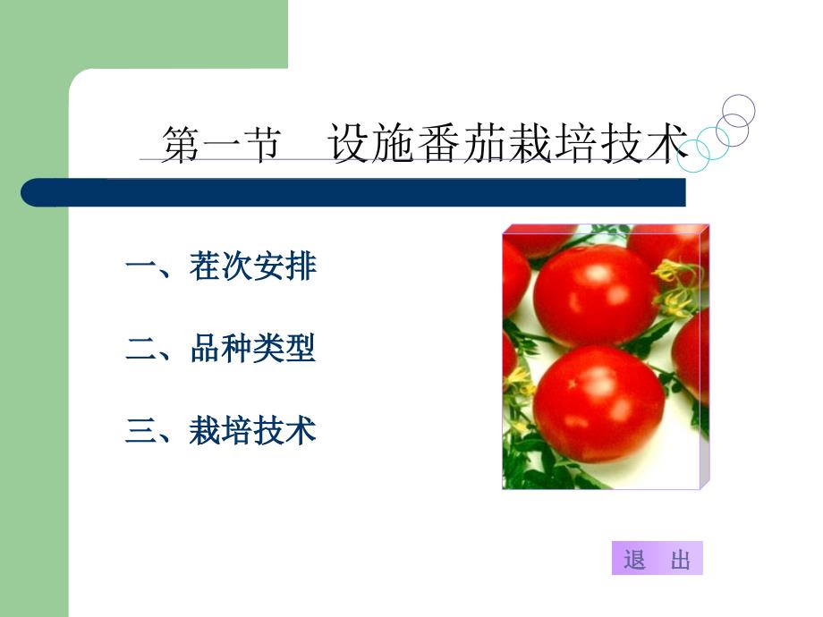 设施番茄栽培技术.ppt_第2页