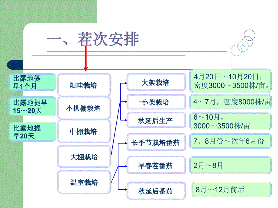 设施番茄栽培技术.ppt_第3页