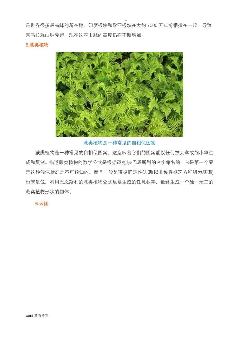 分形(一种别样的数学美丽)_第5页