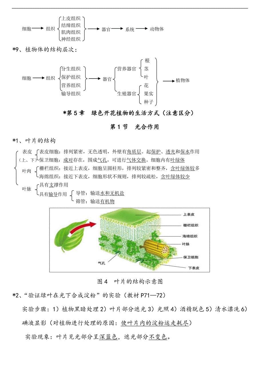 生物中考大全归纳工作总结.doc_第5页