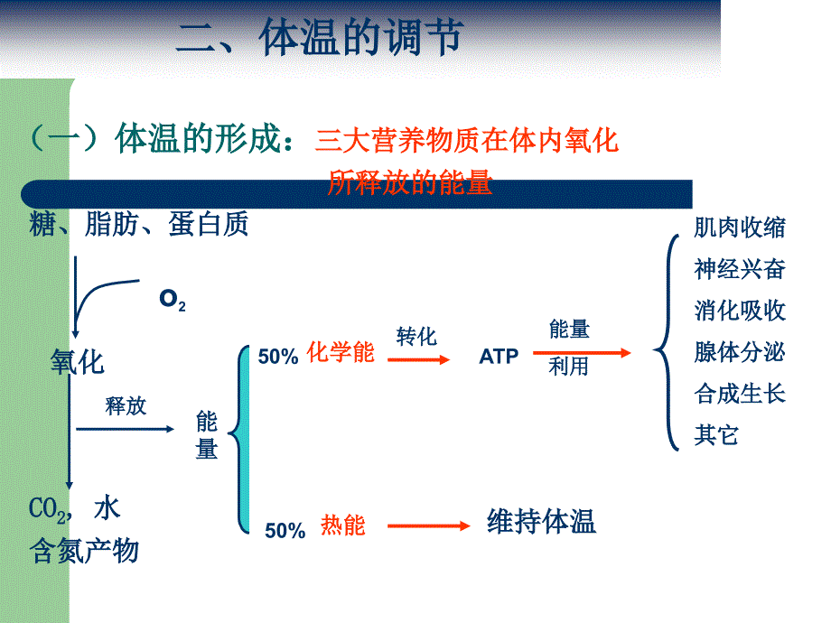 生命体征的评估与_护理_第4页