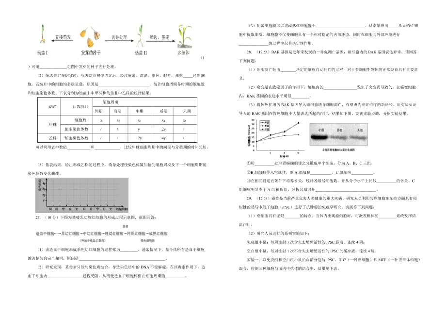 高考生物一轮复习单元AB卷（凝练考点+精选试题）：第四单元 细胞的生命历程 A卷 Word含解析_第4页