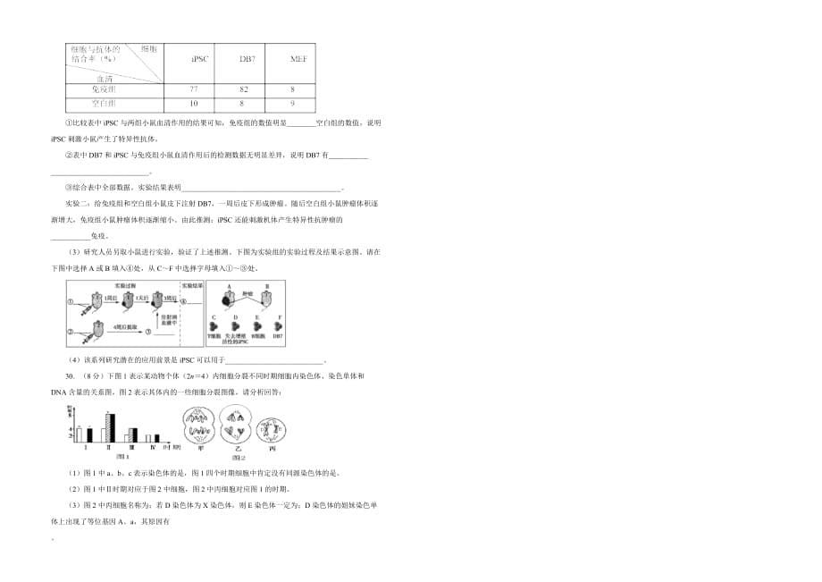 高考生物一轮复习单元AB卷（凝练考点+精选试题）：第四单元 细胞的生命历程 A卷 Word含解析_第5页