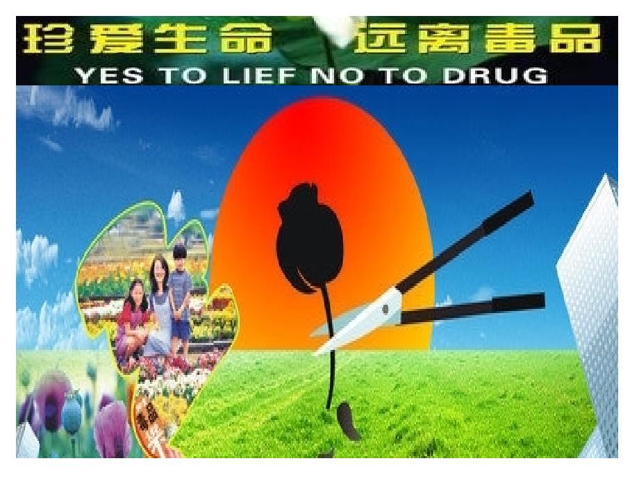 珍爱生命_远离毒品_中小学生禁毒教育课件_第1页