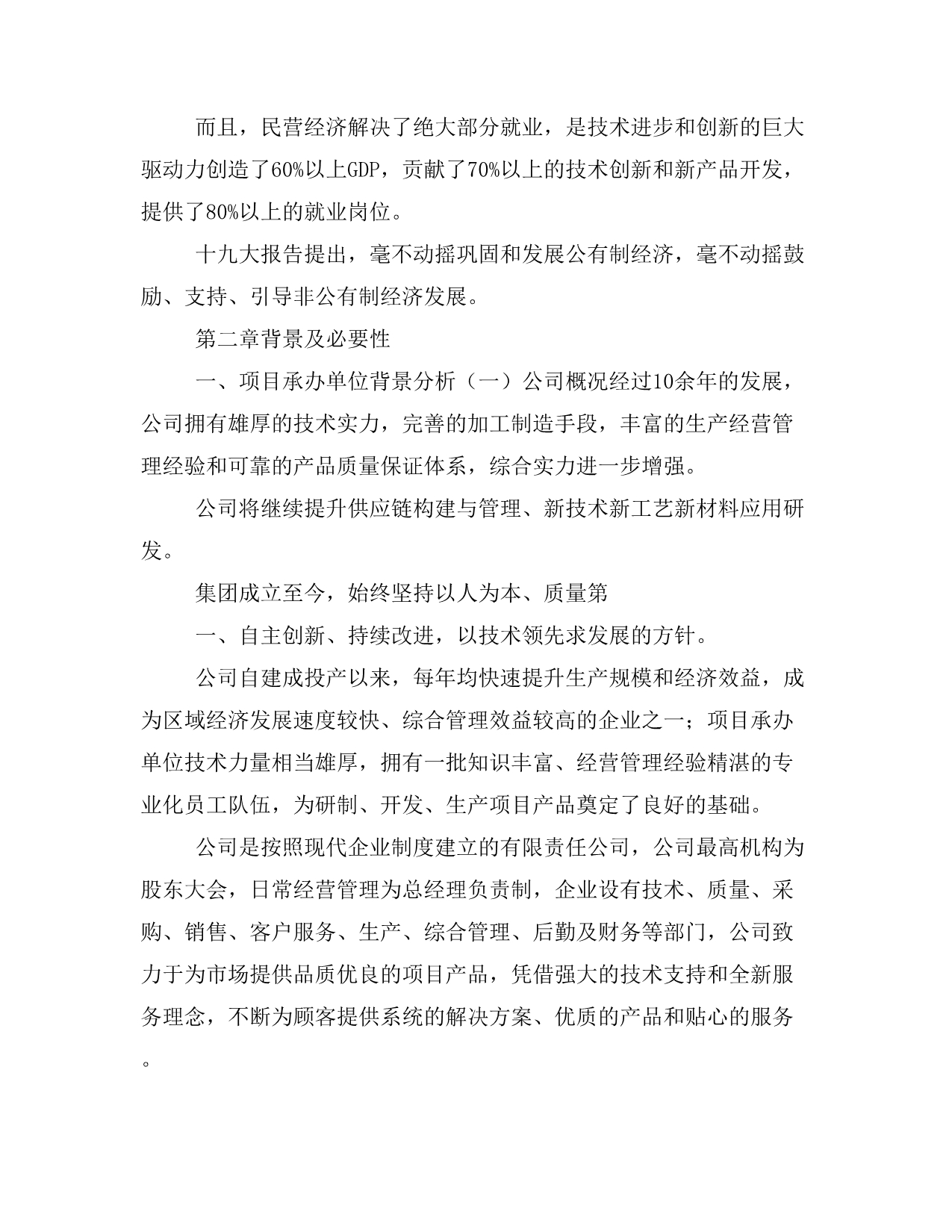 空心挂面项目商业计划书模板(投资分析及融资分析)_第4页