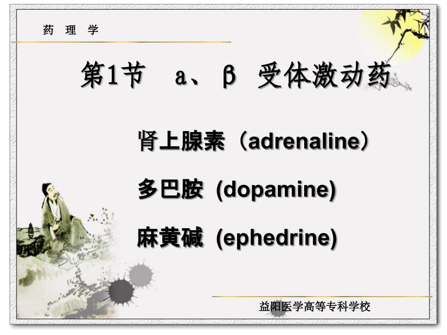 第八章节肾上腺素受体激动医药a_第5页