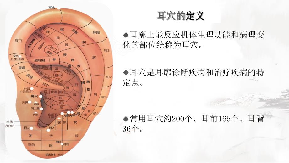 神奇的耳穴疗法-穴位篇.ppt_第2页