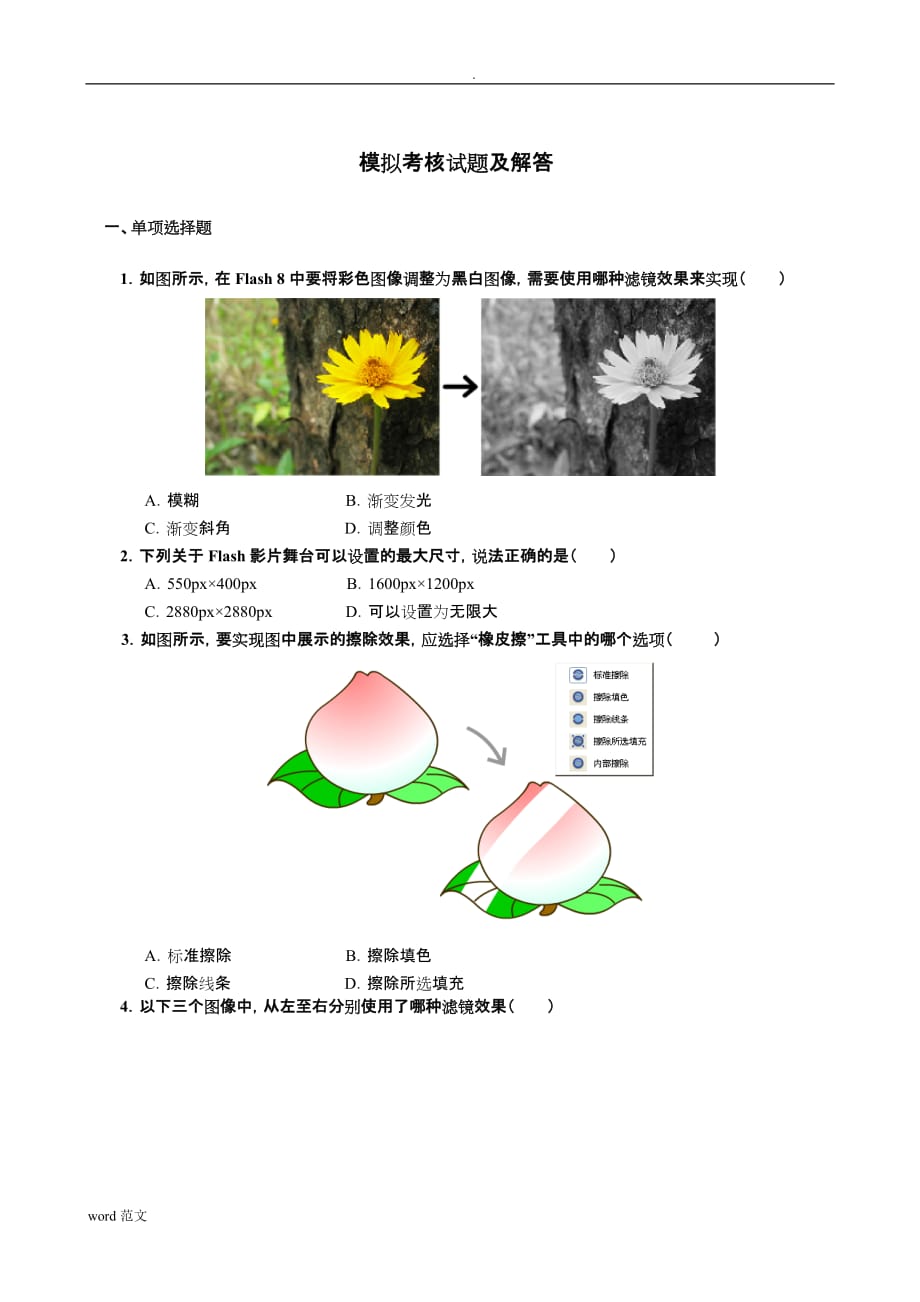 FLASH模拟考核试题及解答_第1页