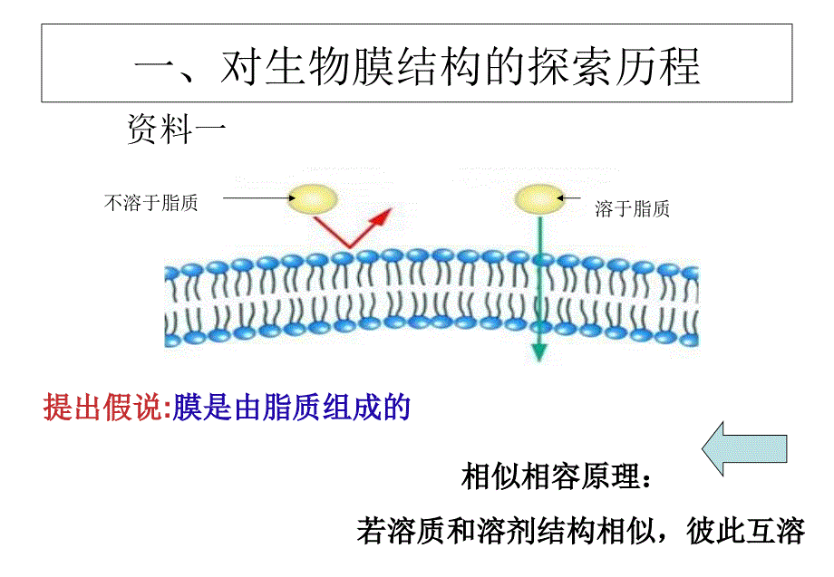 高一生物必修一-生物膜的流动镶嵌模型-课件.ppt_第2页