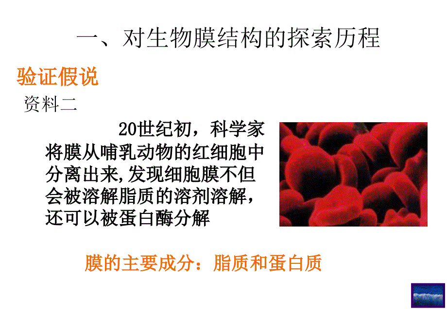 高一生物必修一-生物膜的流动镶嵌模型-课件.ppt_第3页