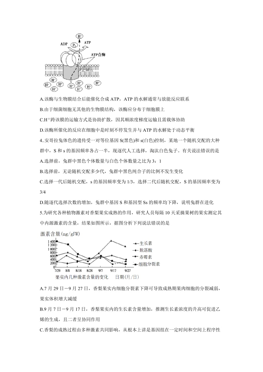 四川省绵阳市2020届高三上学期学术能力诊断性测试生物Word版_第2页