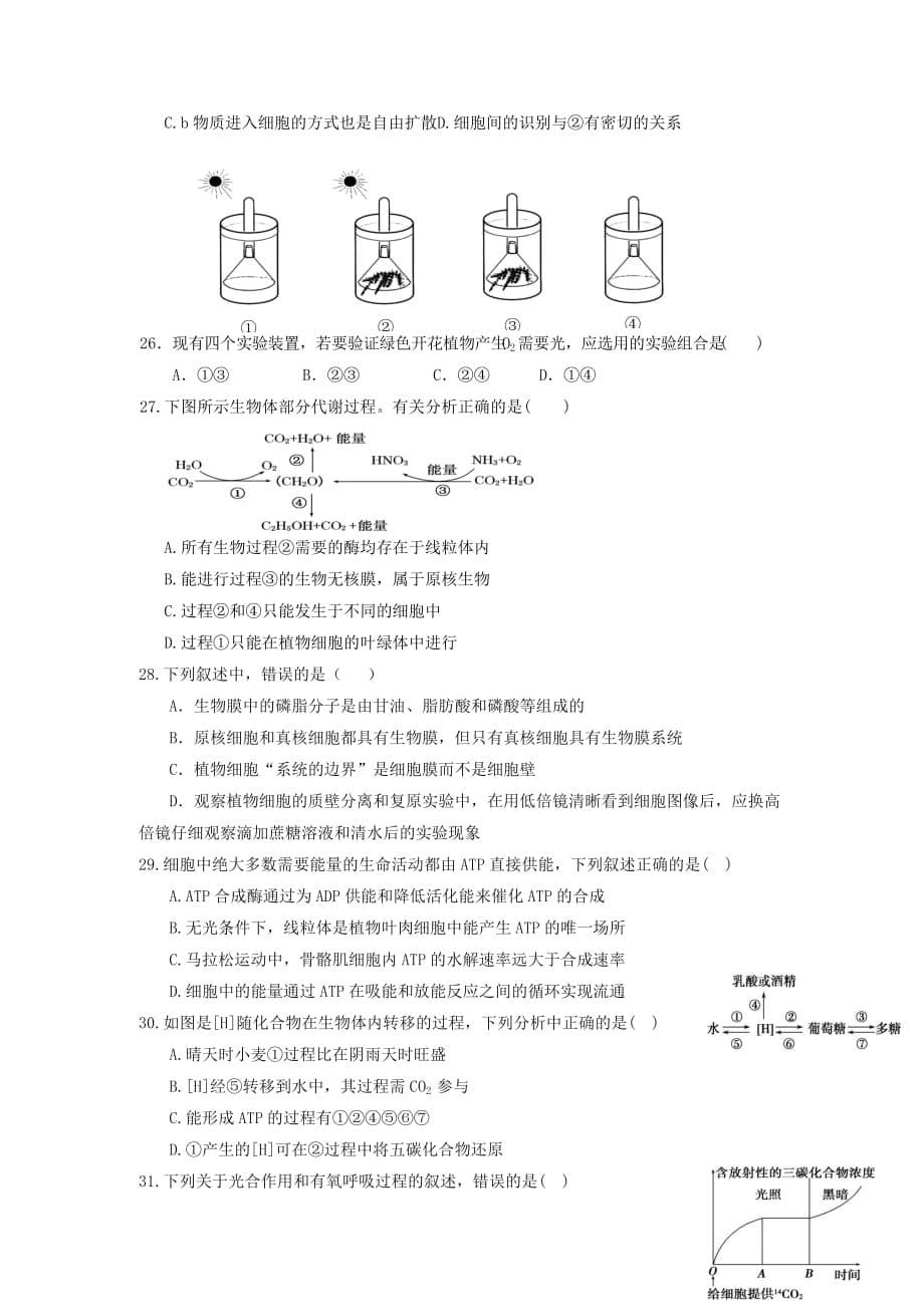 四川省新津中学高一下学期入学考试生物试题 Word缺答案_第5页