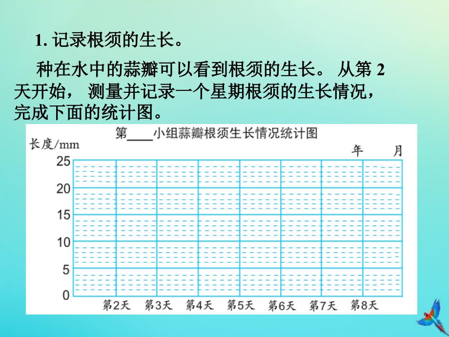 五年级数学下册二折线统计图综合与实践蒜叶的生长教学课件_第4页