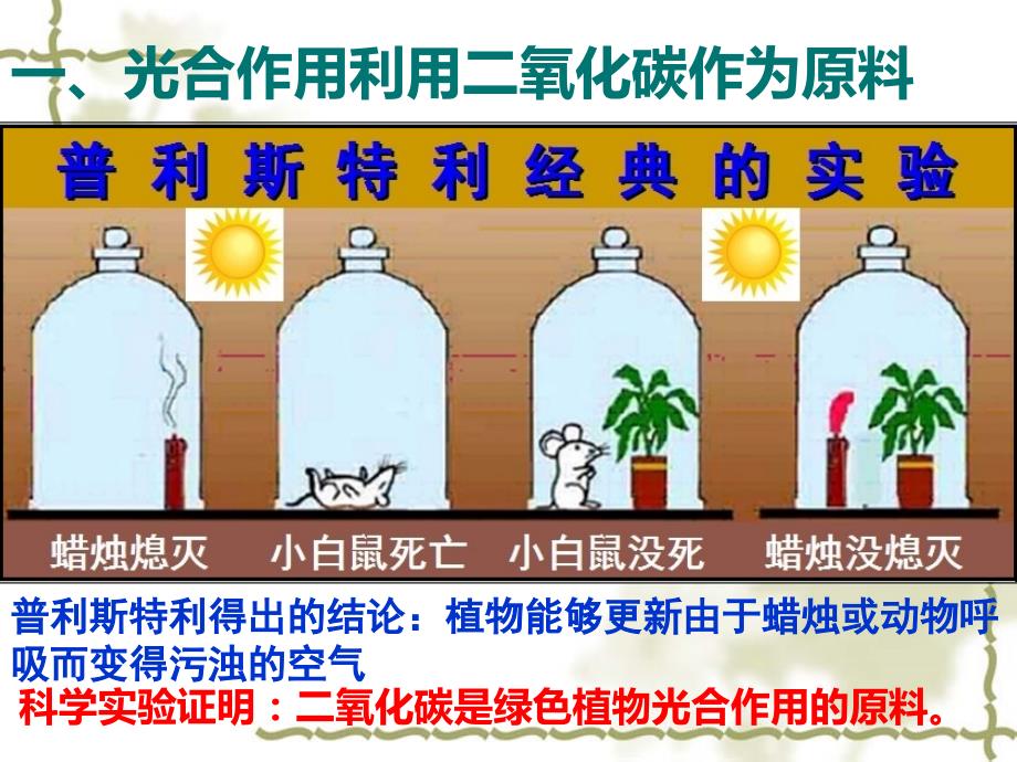 光合作用吸收二氧化碳释放氧气课件全面版_第4页