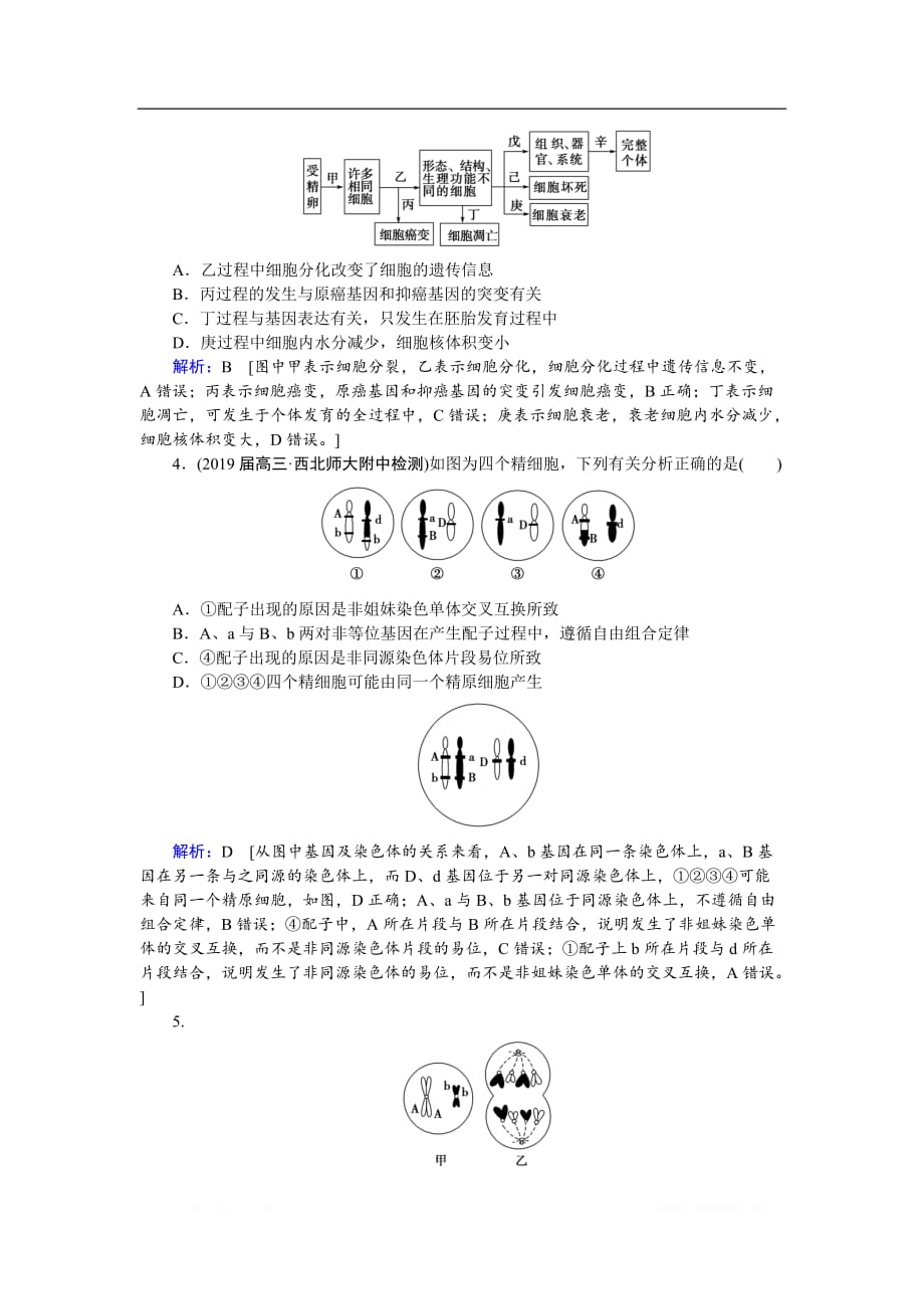 2020届高考艺考生物复习专题强化练：六 专题三 第5讲 细胞的生命历程_第2页