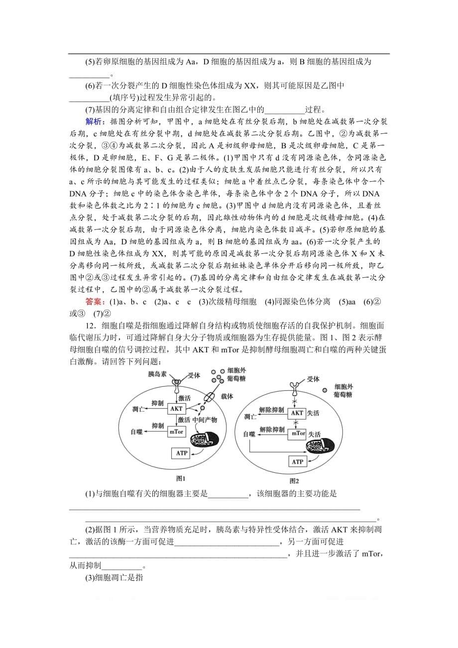 2020届高考艺考生物复习专题强化练：六 专题三 第5讲 细胞的生命历程_第5页