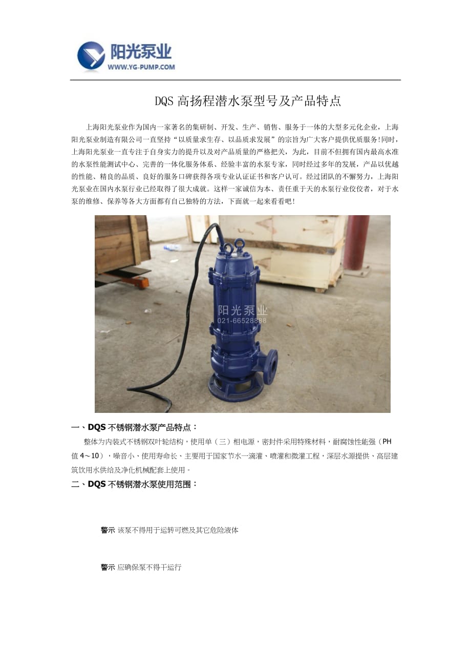DQS高扬程潜水泵型号及产品特点.docx_第1页