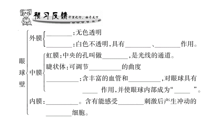 2020年七年级下册生物课件 北师大版 (11)_第2页