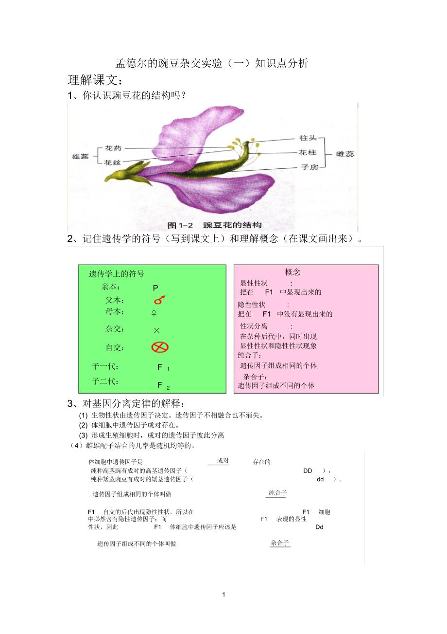 孟德尔的豌豆杂交实验(一)知识点分析.pdf_第1页