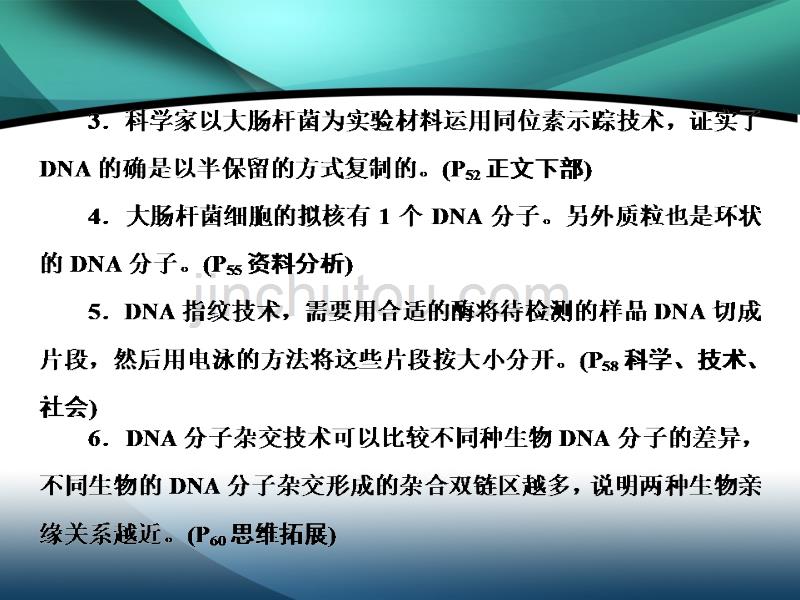 2020届高考生物二轮课件：专题四 第6讲 遗传的分子基础_第5页