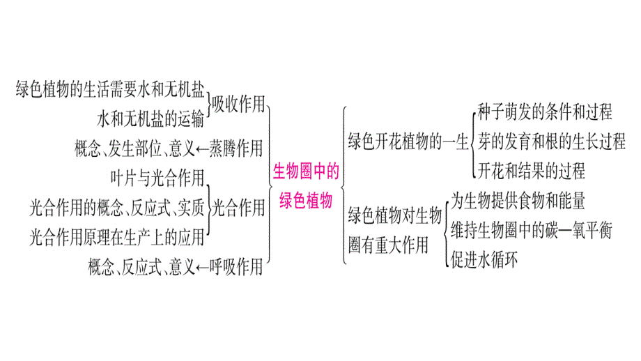 2020年 中考生物第一轮复习资料 掌控中考人教版 (52)_第2页