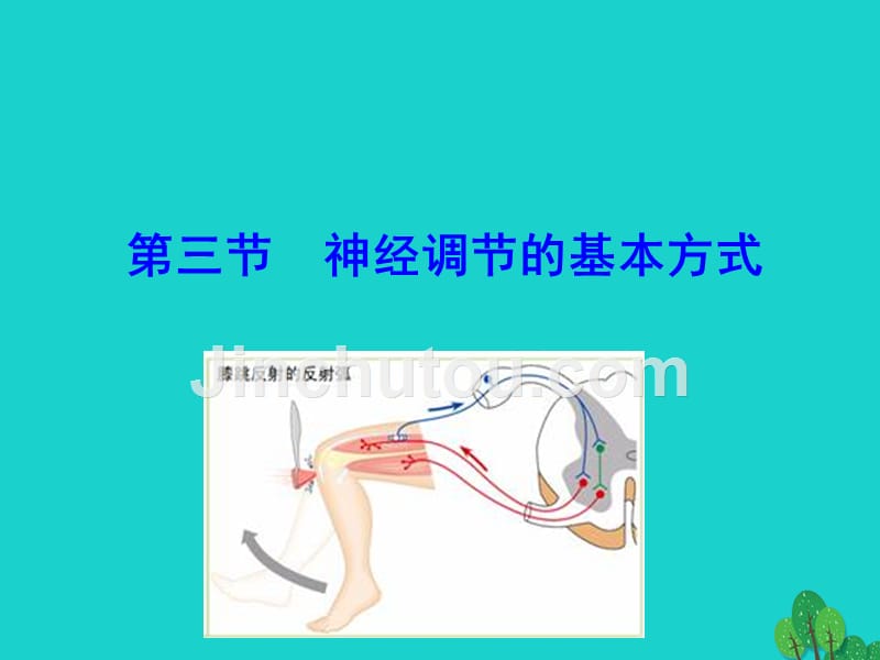 七年级生物下册神经调节的基本方式课件新版新人教版_第1页