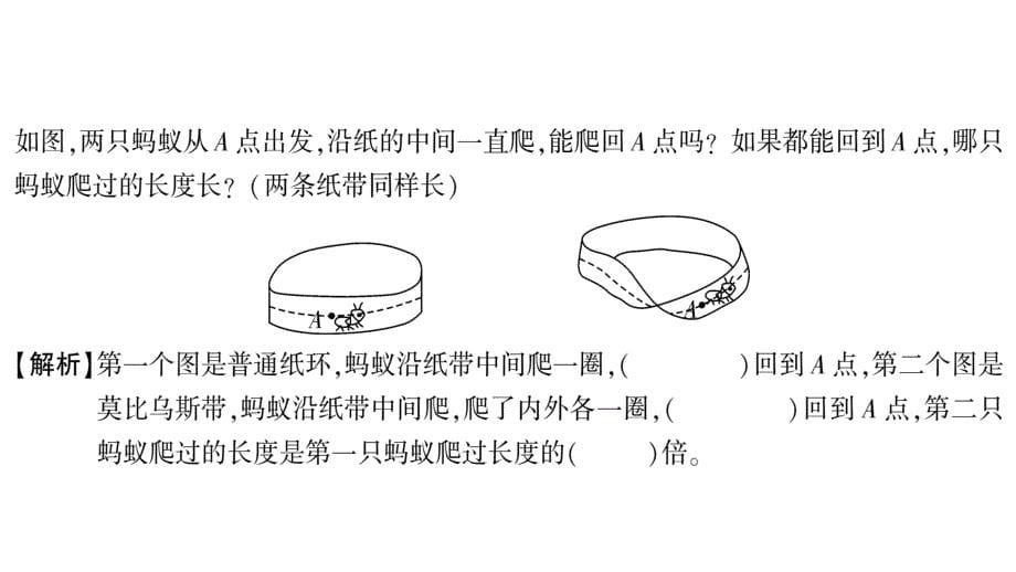 2020年 六年级下册数学课件北师大版 (11)_第5页