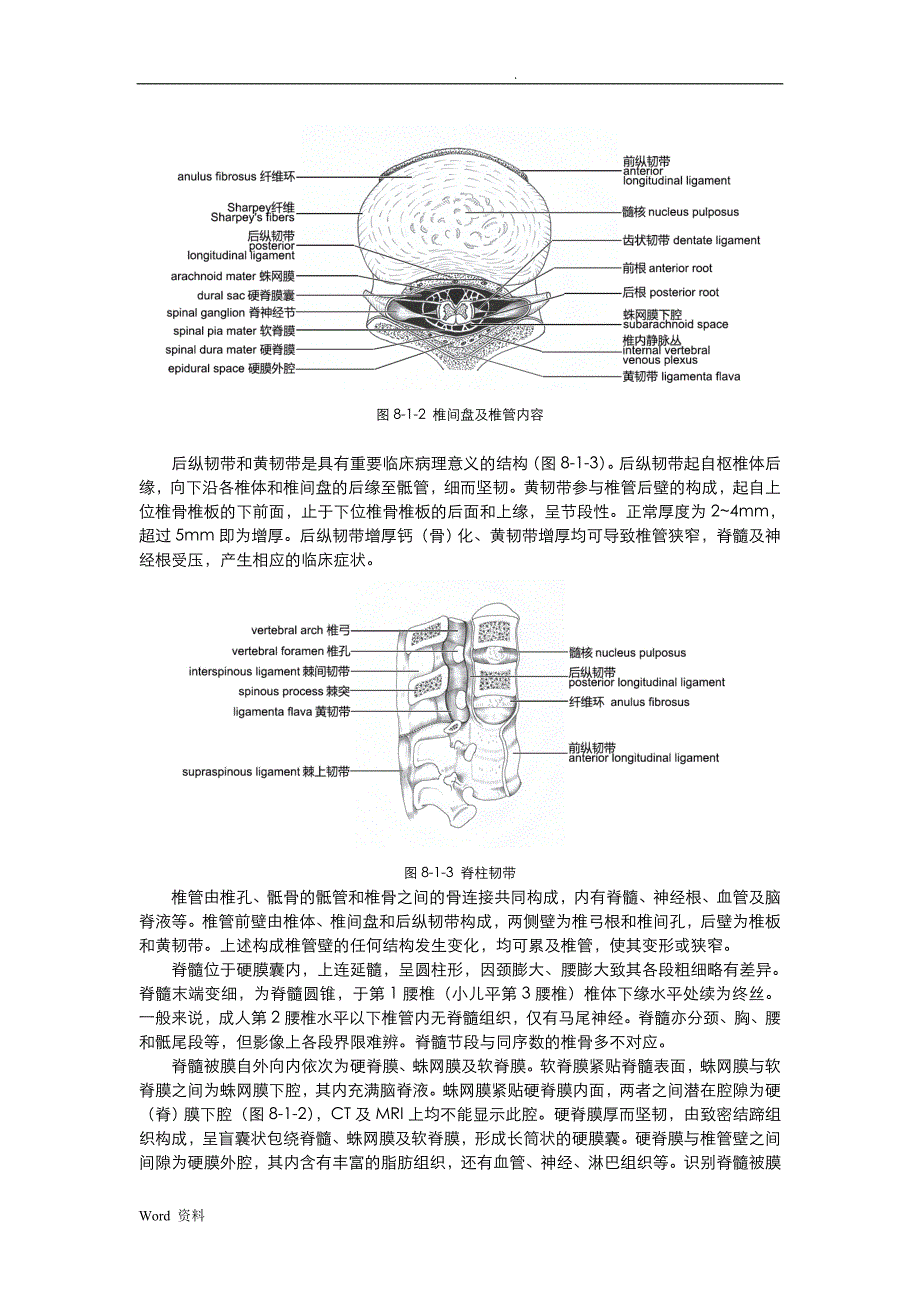 脊柱和脊髓影像解剖_第2页